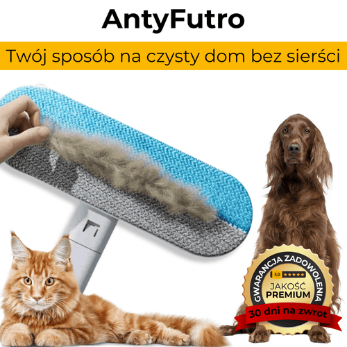 AntyFutro – Twój sposób na czysty dom