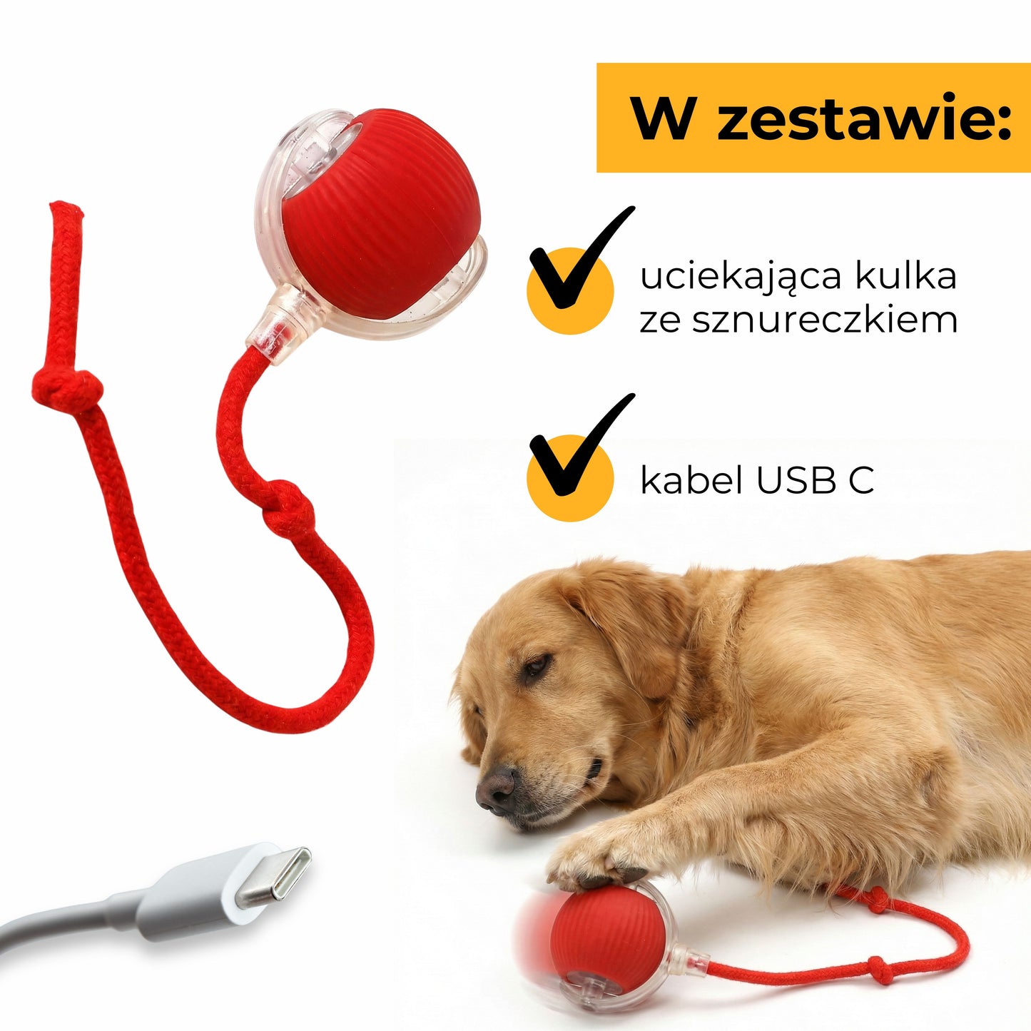 ZwierzoKulka - inteligentna zabawka dla Twojego pupila