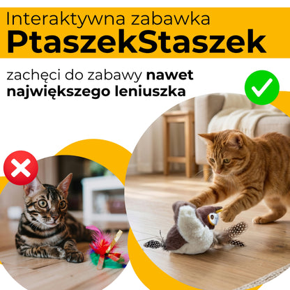 PtaszekStaszek - zabawka interaktywna