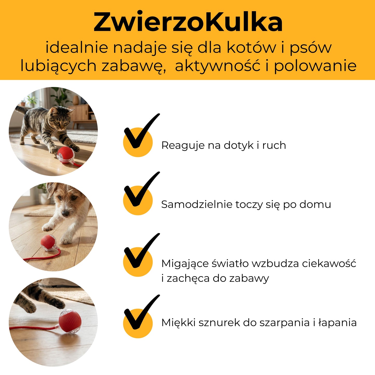 ZwierzoKulka - inteligentna zabawka dla Twojego pupila