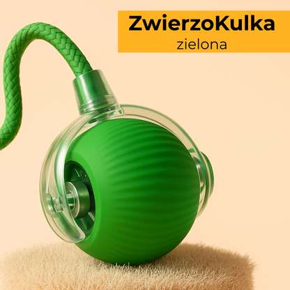 ZwierzoKulka - inteligentna zabawka dla Twojego pupila