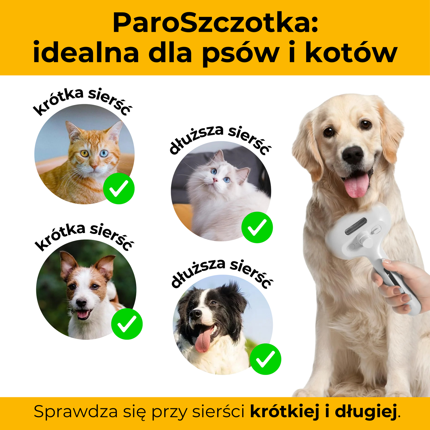 ParoSzczotka - skuteczna i bezpieczna pielęgnacja futerka
