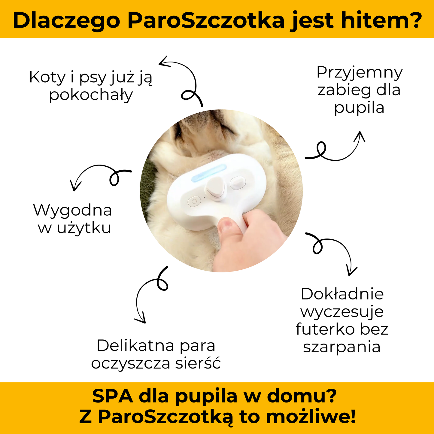 ParoSzczotka - skuteczna i bezpieczna pielęgnacja futerka