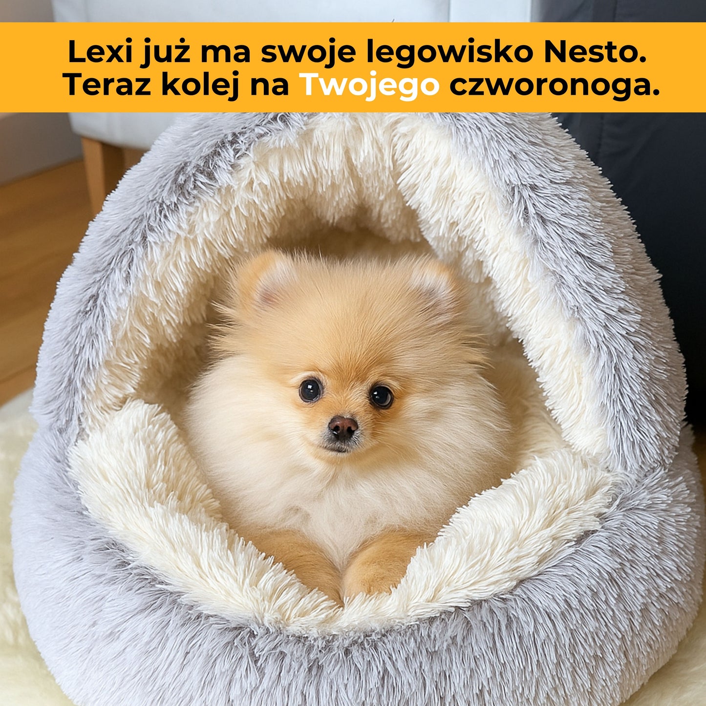 Nesto - przytulne legowisko dla Twojego pupila