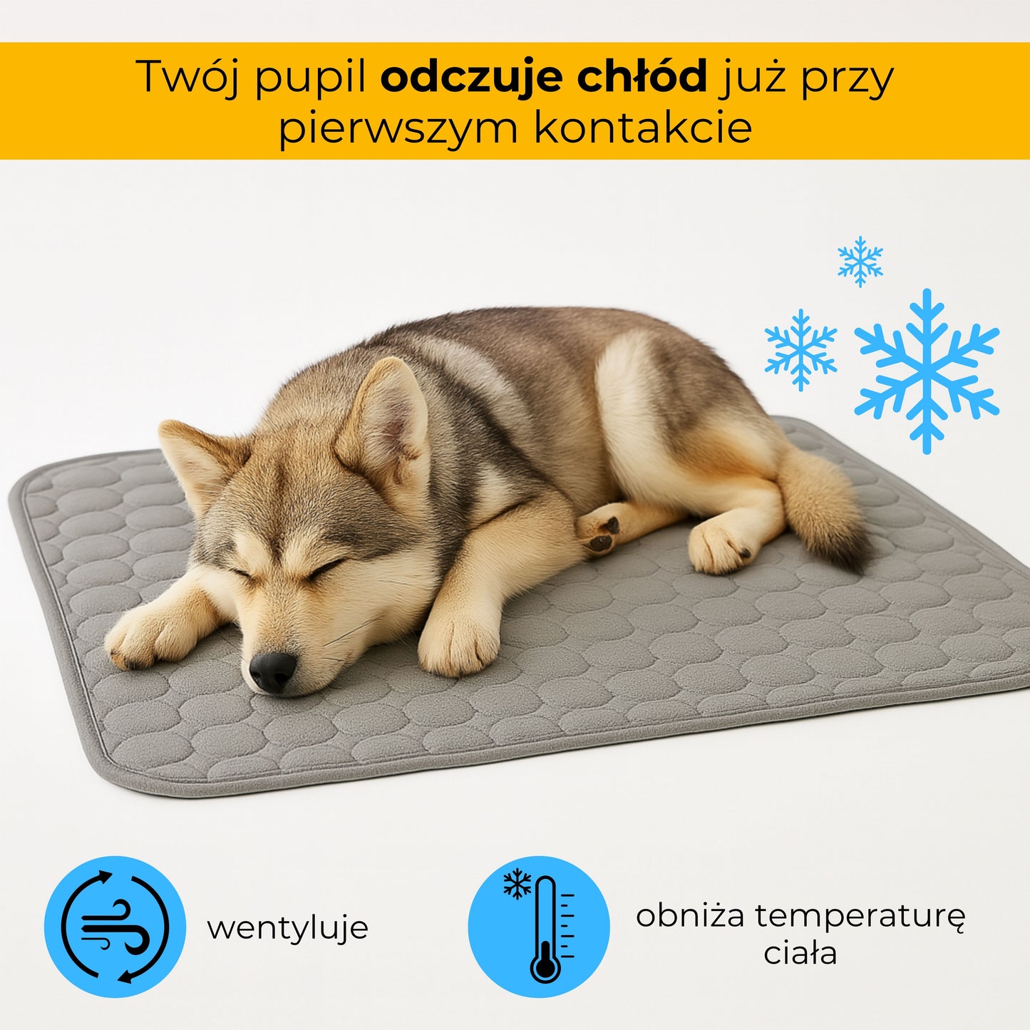 Mata chłodząca - Frostek