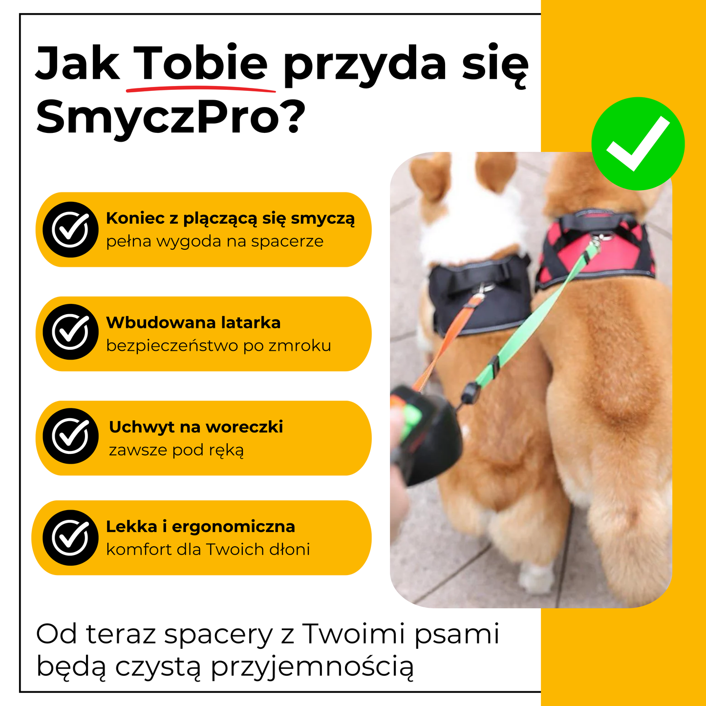 SmyczPro - smycz, która nigdy się nie plącze