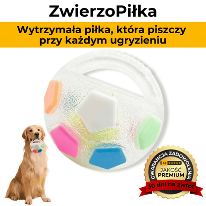 ZwierzoPiłka - wytrzymała piszcząca piłka z uchwytem dla psa
