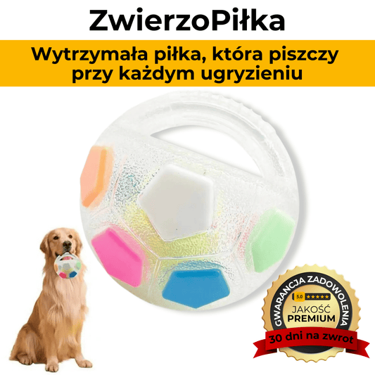 ZwierzoPiłka - wytrzymała piszcząca piłka z uchwytem dla psa