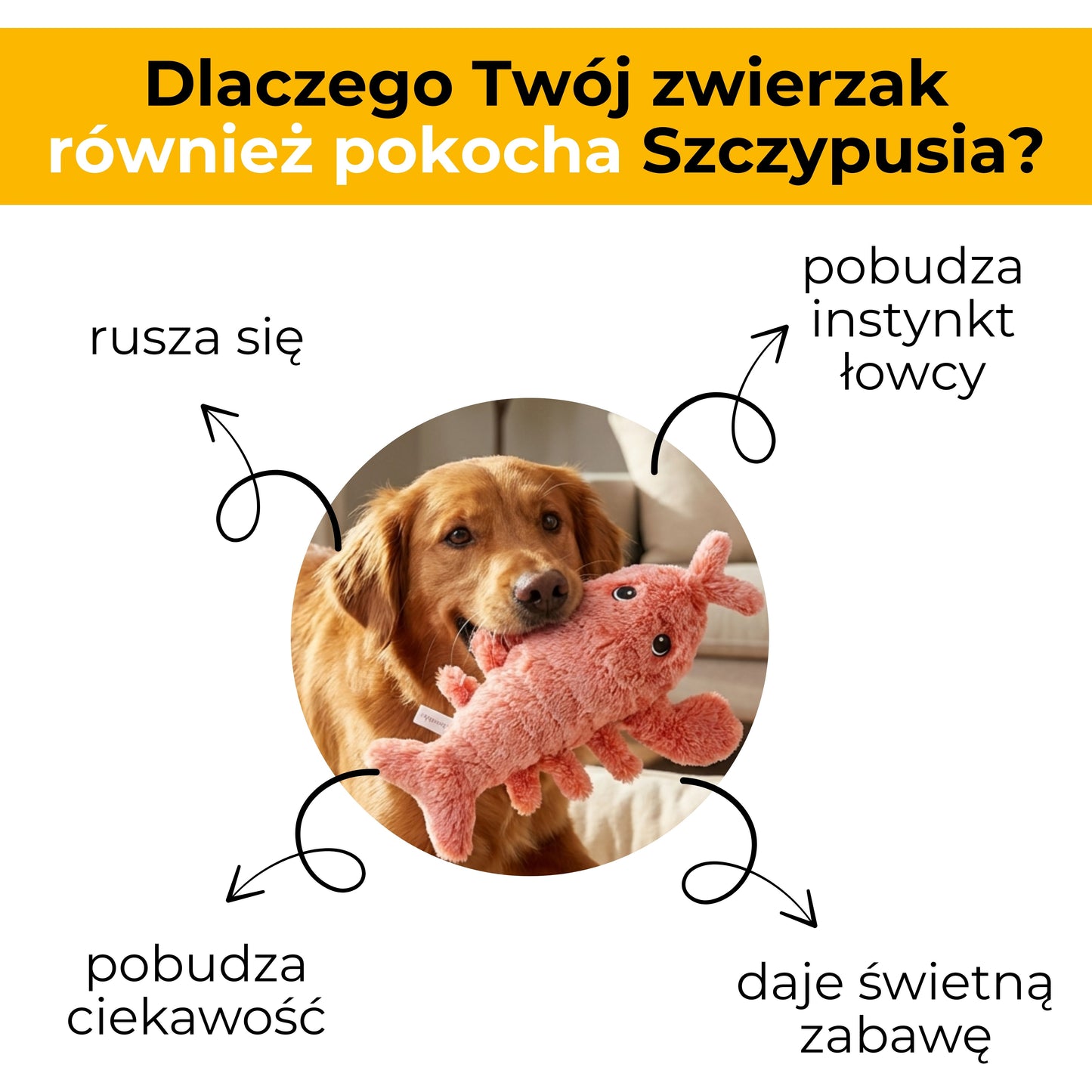 Szczypuś - maskotka interaktywna dla zwierząt
