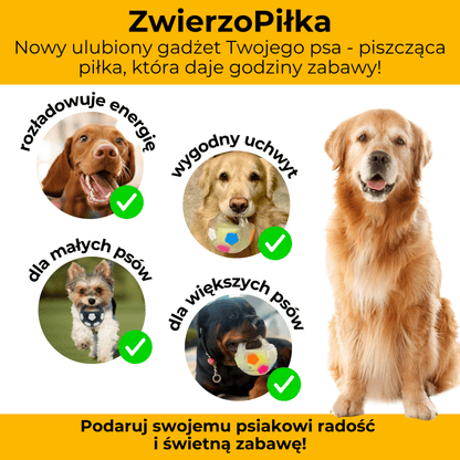 ZwierzoPiłka - wytrzymała piszcząca piłka z uchwytem dla psa