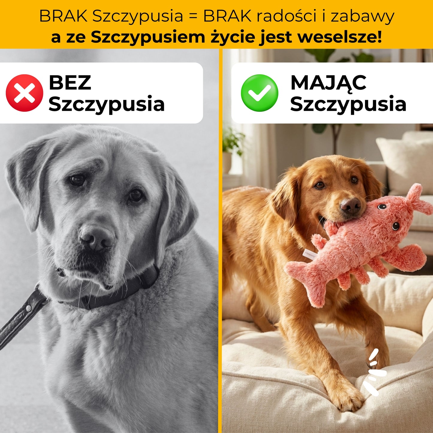 Szczypuś - maskotka interaktywna dla zwierząt