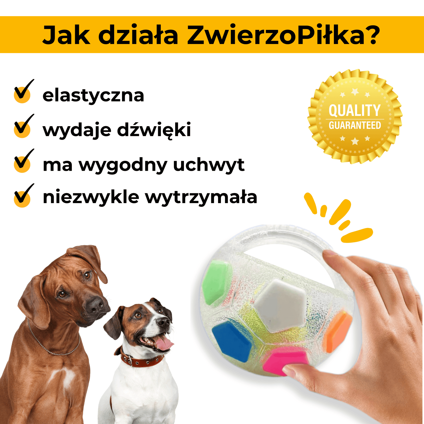 ZwierzoPiłka - wytrzymała piszcząca piłka z uchwytem dla psa