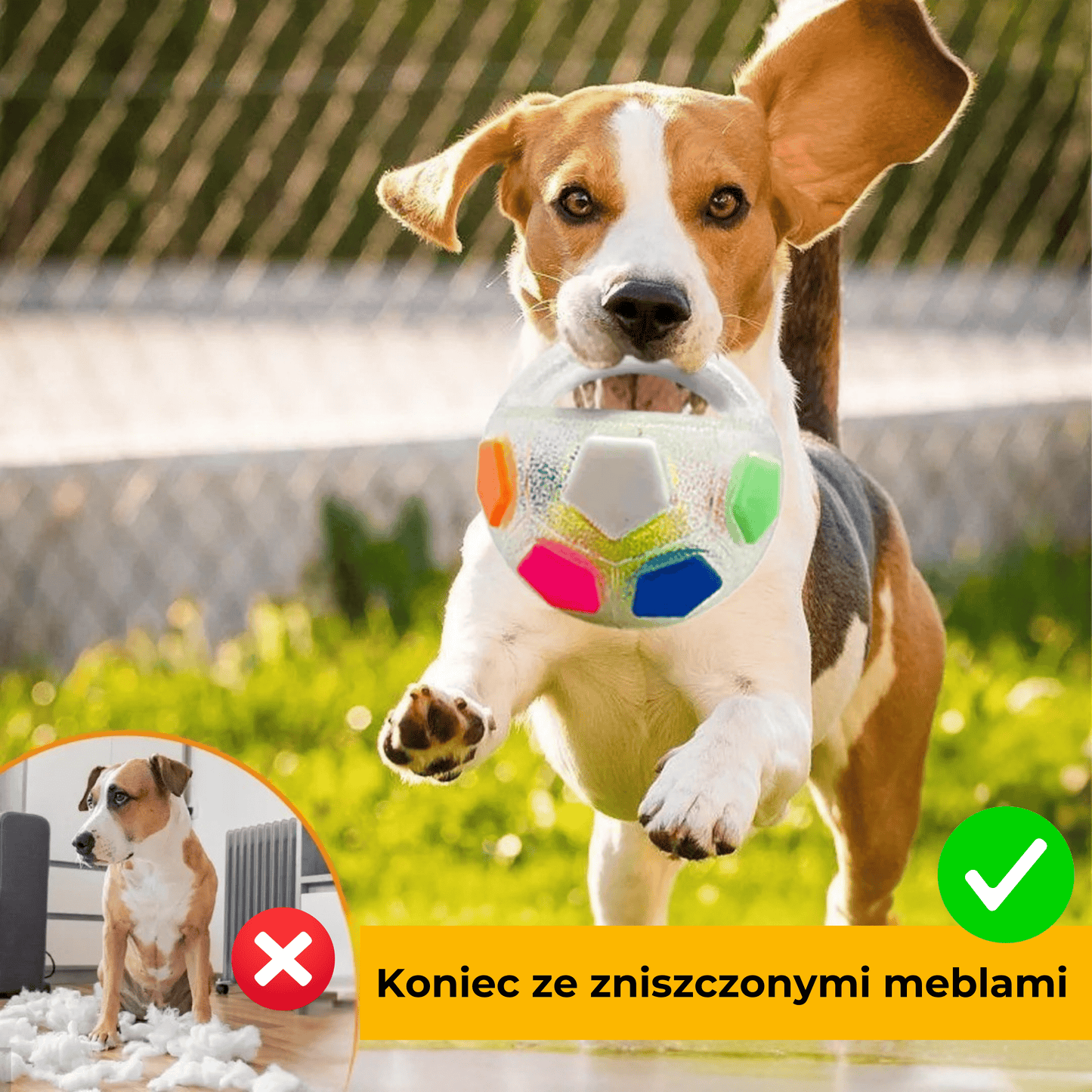 ZwierzoPiłka - wytrzymała piszcząca piłka z uchwytem dla psa