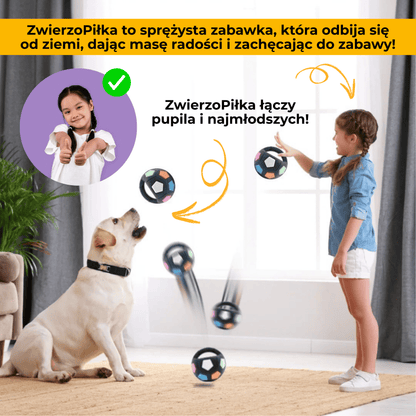 ZwierzoPiłka - wytrzymała piszcząca piłka z uchwytem dla psa