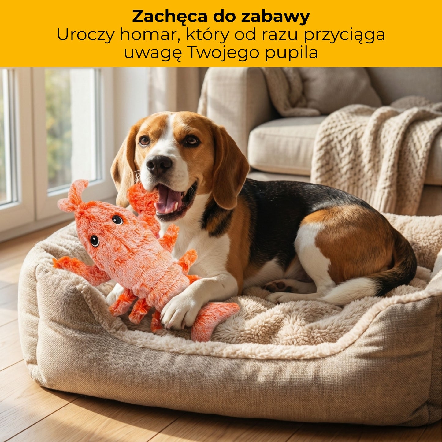 Szczypuś - maskotka interaktywna dla zwierząt