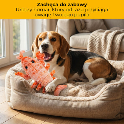 Szczypuś - maskotka interaktywna dla zwierząt