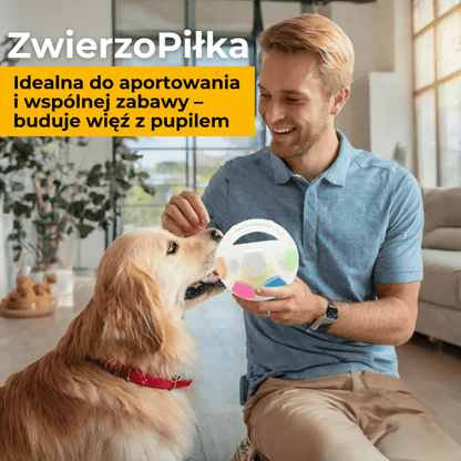 ZwierzoPiłka - wytrzymała piszcząca piłka z uchwytem dla psa