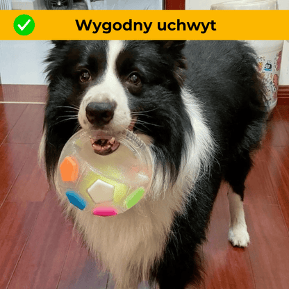 ZwierzoPiłka - wytrzymała piszcząca piłka z uchwytem dla psa