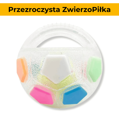 ZwierzoPiłka - wytrzymała piszcząca piłka z uchwytem dla psa