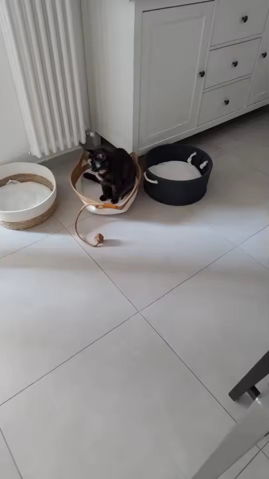 <em>Krzysztof M.</em>