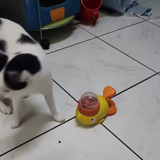 <em>Wiesława K.</em>