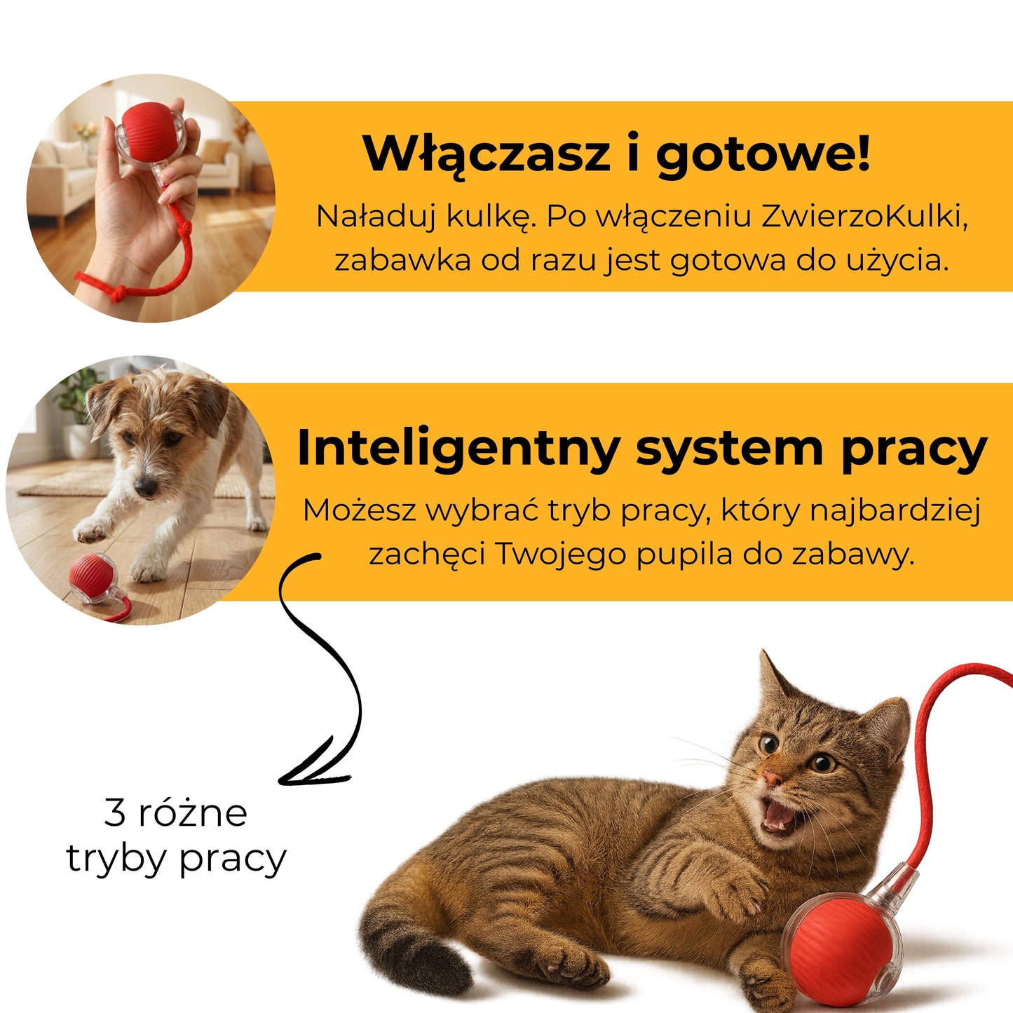 ZwierzoKulka - inteligentna zabawka dla Twojego pupila