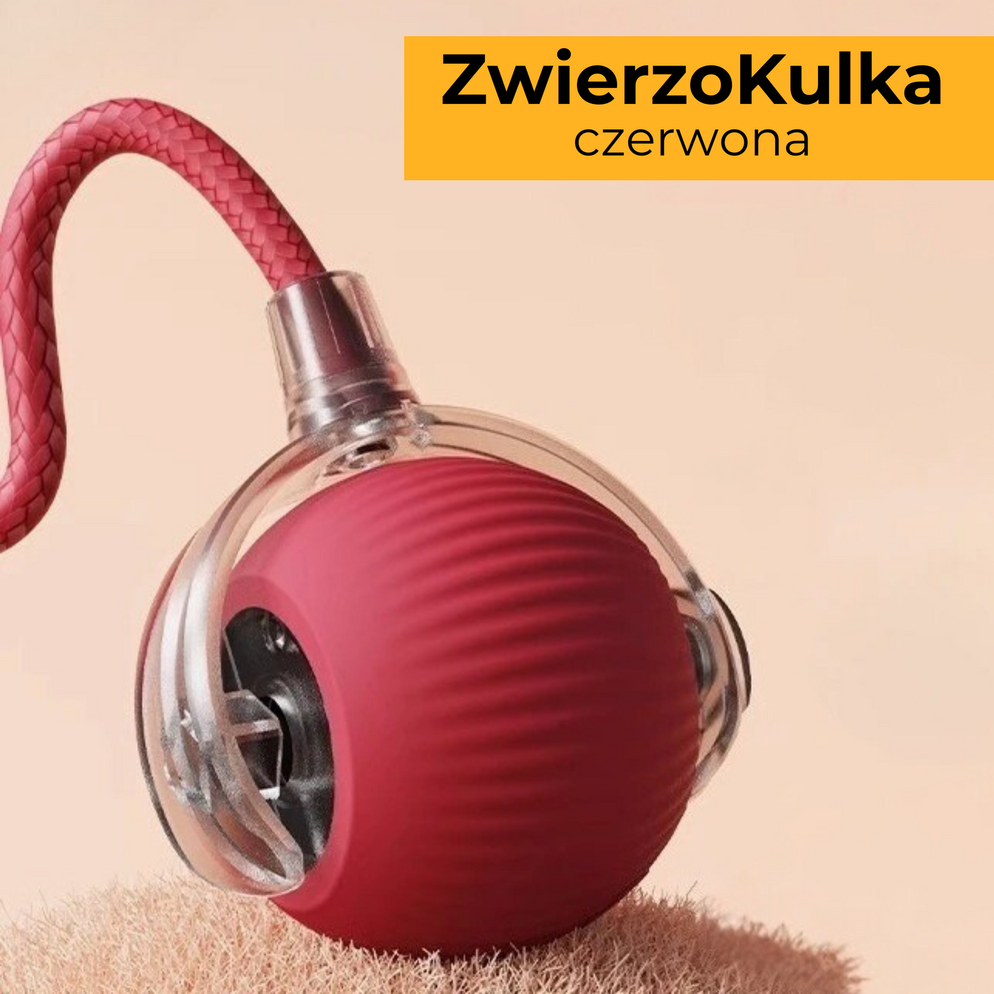 ZwierzoKulka - inteligentna zabawka dla Twojego pupila