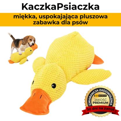 KaczkaPsiaczka - uspokajająca pluszowa zabawka dla psów