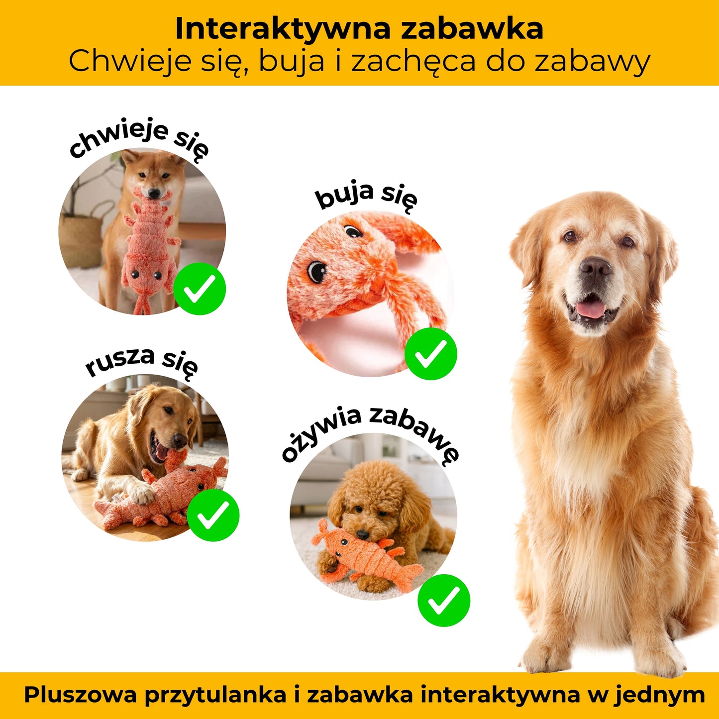 Szczypuś - maskotka interaktywna dla zwierząt