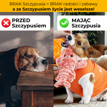 Szczypuś - maskotka interaktywna dla psów