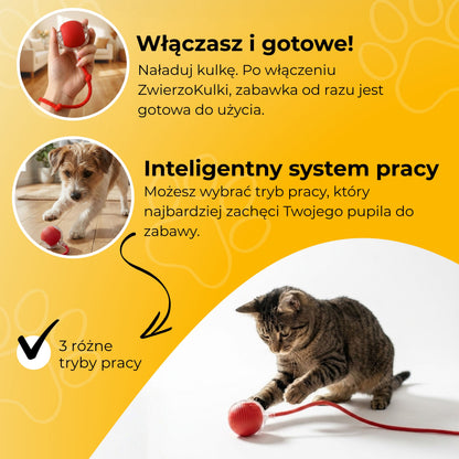 ZwierzoKulka - inteligentna zabawka dla Twojego pupila